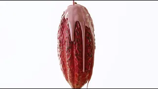 Ruby Chocolate: 1st Anniversary | Barry Callebaut