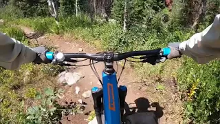 Buff Pass to BTR to Spring Roll mountain bike ride near Steamboat, Colorado