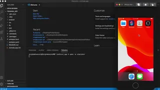 How to Open and Run Flutter App Project in Visual Studio Code (VS Code) IDE
