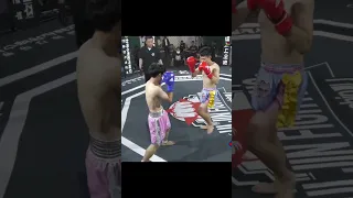 짤짤이 로우킥에 위력 #kickboxing