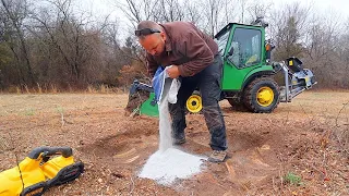 How to Remove a Tree Stump Naturally