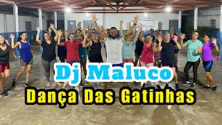Dj Maluco - Dança Das Gatinhas | Coreografia Jansen Bandeira