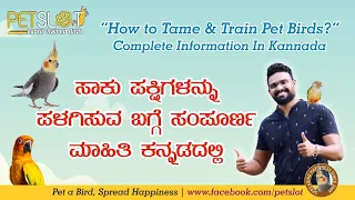 How to Tame & Train Pet Birds? Complete Information in Kannada