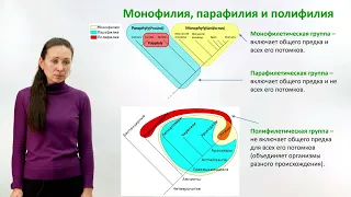 Татьяна Перетолчина "Основы филогенетического анализа"