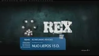 Rex vasara 2013