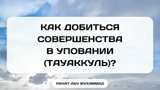 986. Как добиться совершенства в уповании (тауаккуль)? || Ринат Абу Мухаммад