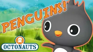 Octonauts - Learn about Penguins | Cartoons for Kids | Underwater Sea Education