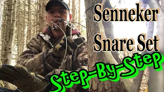 Setting a Senneker Snare for Coyote