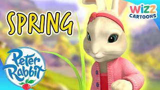 @OfficialPeterRabbit - The Arrival of Spring 🌱 | Action-Packed Adventures! | Wizz Cartoons