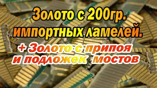 Золото с 200гр.ипортных ламелей.Какой будет выход ?