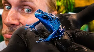 DEADLY POISON DART FROG!! WILL IT KILL YOU?? | BRIAN BARCZYK