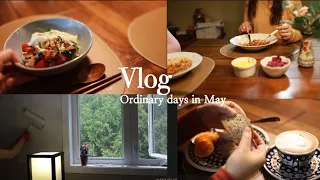 Cozy Vlog, Self-kitchen Reno, cooking lasagna, chicken eggplant meal, banana cake