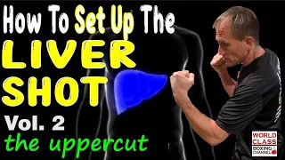 How To Set Up the Liver Shot- Volume 2