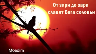 От зари до зари славят Бога соловьи / христианская песня