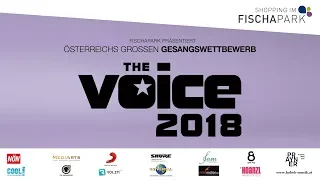 THE VOICE 2018 - 3. Show: Hisham Morscher