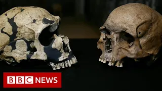 Modern humans arrived in Europe thousands of years earlier than previously thought - BBC News