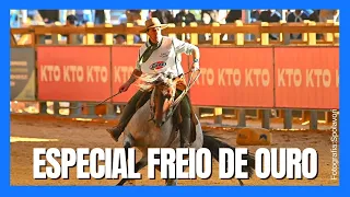 Cavalos Inédito/Freio de Ouro 2023 -CAVALO CRIOULO