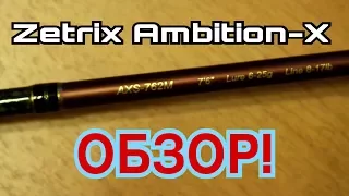 Zetrix Ambition-x 762M - обзор спустя сезон.