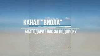 Что принесёт солнечное затмение 2 июля 2019 для каждого знака зодиака