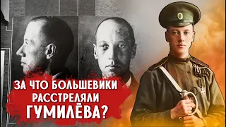 За что «Белого поэта» Гумилёва расстреляли большевики?