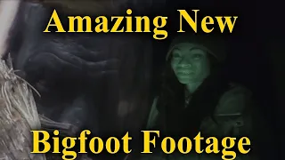 Amazing New Bigfoot Footage