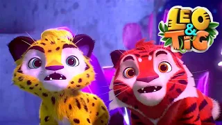 Leo & Tig - Episode 28 Compilation ⭐️ | Super Toons - Kids Shows & Cartoons