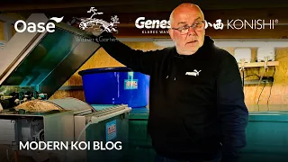 Modern Koi Blog #6025 - Harrys liebevoll gebautes und eingerichtetes Filterhaus