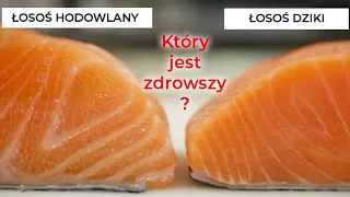 ✅  Łosoś to strasznie toksyczna ryba – To przerażające, co znajduje się w jego mięsie!