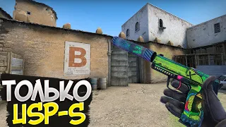 Играю только с USP-S! Челлендж от подписчика. CS:GO