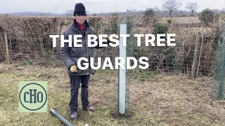 The Best Tree Guards