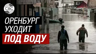 «Такого никогда не было!» Уровень воды в реке Урал поднялся более чем на 10 метров