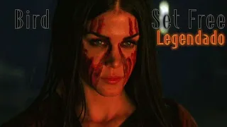 Sia - Bird set free (legendado) Octavia Blake