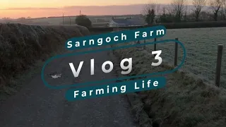 Sarngoch Farm Vlog 3