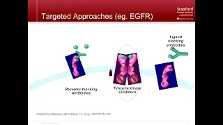 New Options for Lung Cancer Therapies