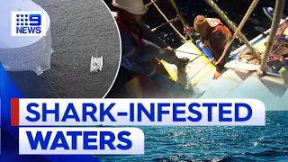 Three sailors rescued after sharks attack catamaran in Coral Sea | 9 News