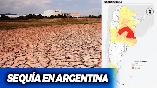 SEQUÍA EN ARGENTINA: Las vacas mueren de sed y se secan las lagunas