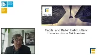 Capital and Bail in Debt Buffers: Loss Absorption vs Risk Incentives | Enrico Perotti