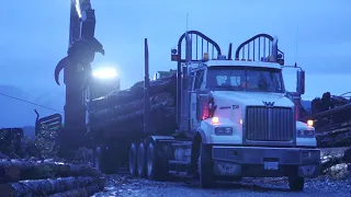 A Day in the Life of a Log Truck Driver on Vancouver Island