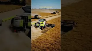 Class Lexion & Cat Lexion Combine #shorts #viral #class #grow #claaslexion #cat