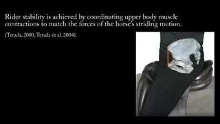 Rider Evaluation & Stabilisation Webinar with Caroline Lindsay. HorseSaddleRider.com