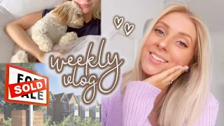 some exciting news & the little things in life 🥰 weekly vlog