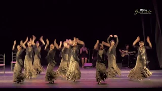 ADULTOS Flamenco Intermedio  Fandangos de Huelva