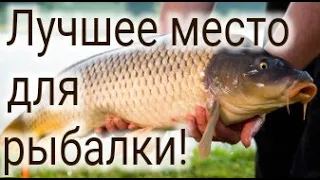 Деревянное озеро 2021. Лучшее место для рыбалки. Путешествие по Казахстану.