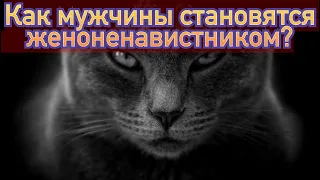 Как женщины делают из мужчин женоненавистников