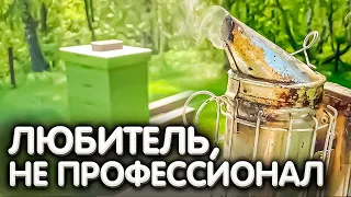 Я пчеловод-любитель, НЕ ПРОФЕССИОНАЛ.