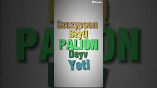 Palion,Deyv,Yeti,Szczypson,BzyQ🍞💚🧊🐝🐸