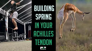 How I Turned My Achilles Tendon Into a SPRING Like a Gazelle!