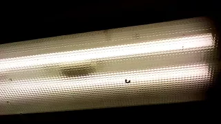 Простая замена люминисцентных ламп на светодиодные