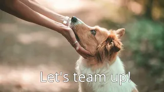 Let's team up!