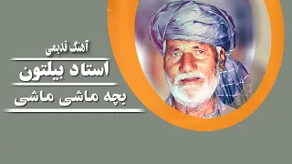 Ustad Beltoon - Bacha Mashi Mashi | استاد بیلتون - بچه ماشی ماشی